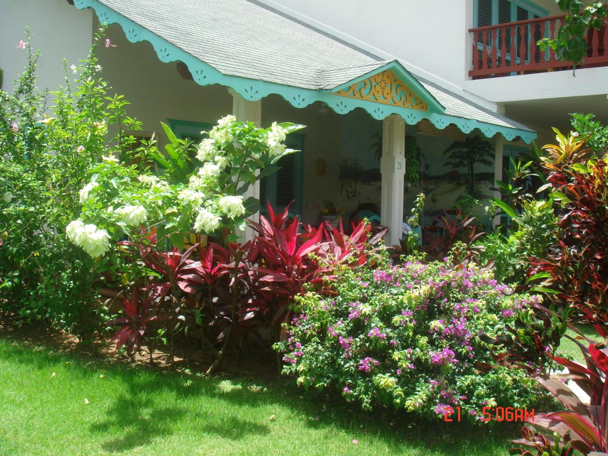 Hotel Playa Colibri Las Terrenas Dış mekan fotoğraf