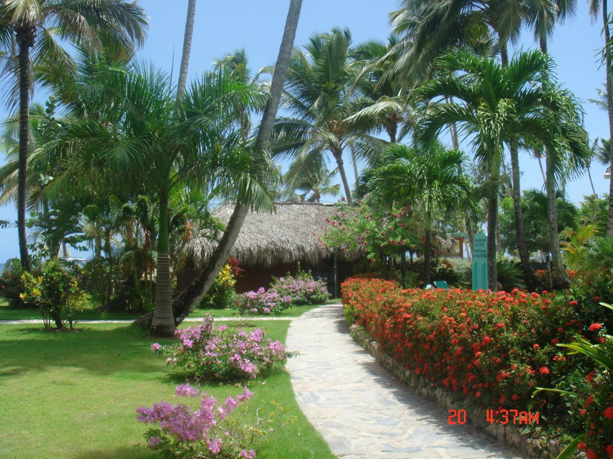 Hotel Playa Colibri Las Terrenas Dış mekan fotoğraf